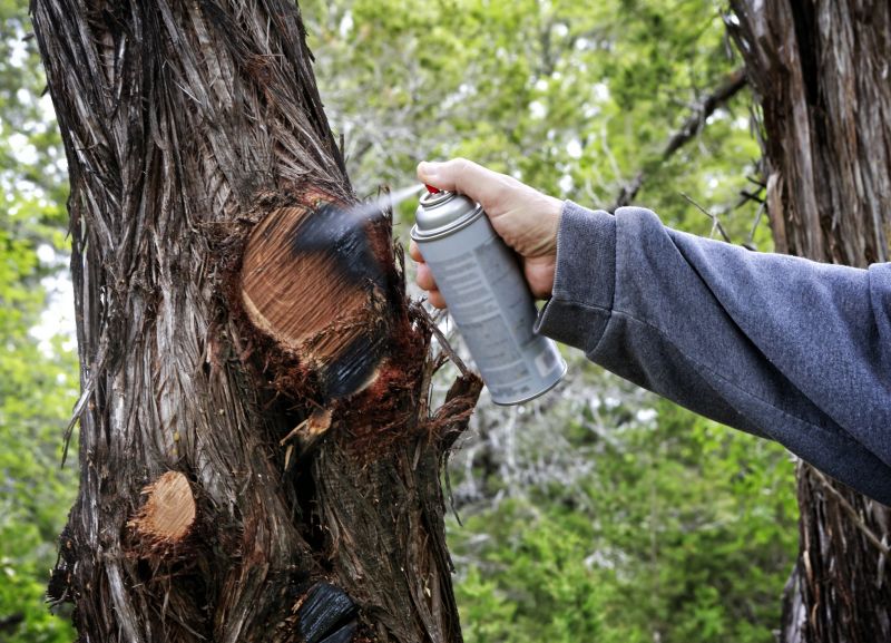 Arborist Spraying
