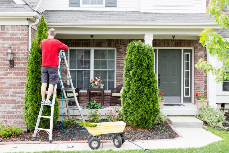 Arborvitae Planting