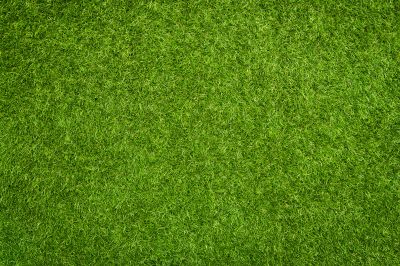 Artificial Turf Installation