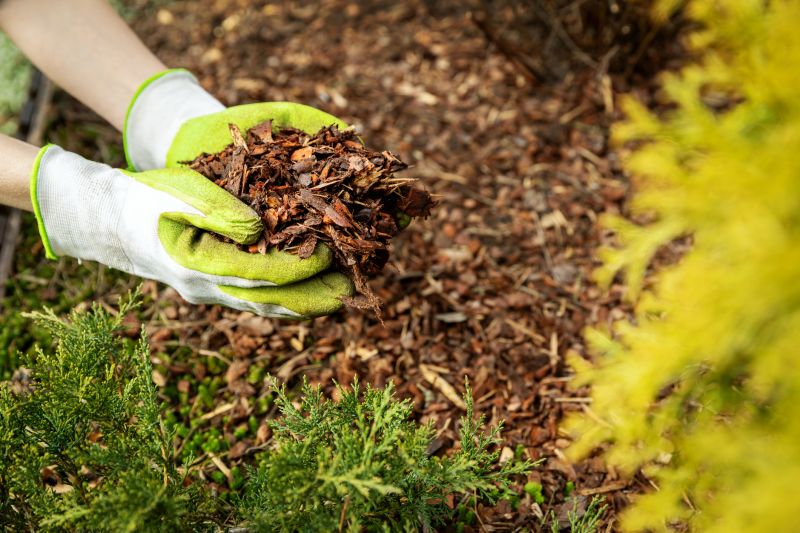 Bark Mulch Delivery