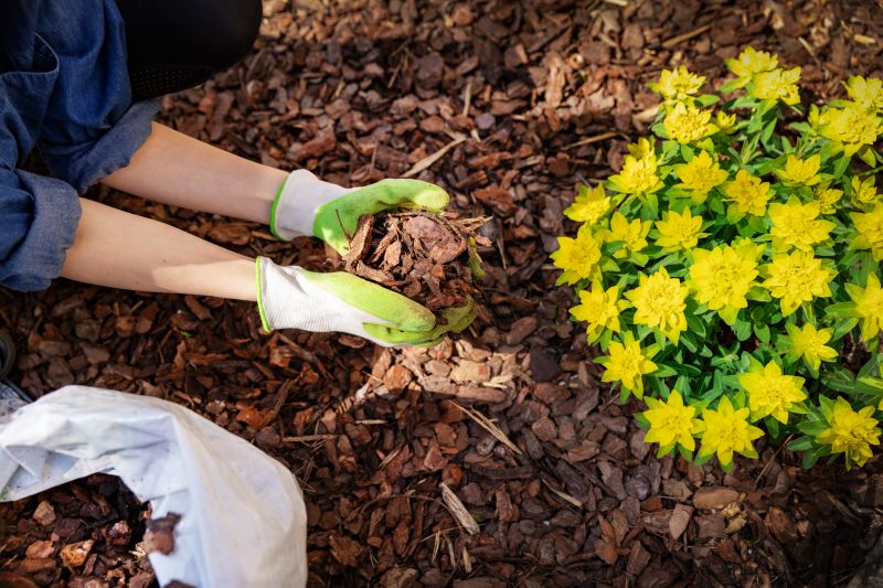 Bark Mulch Installation