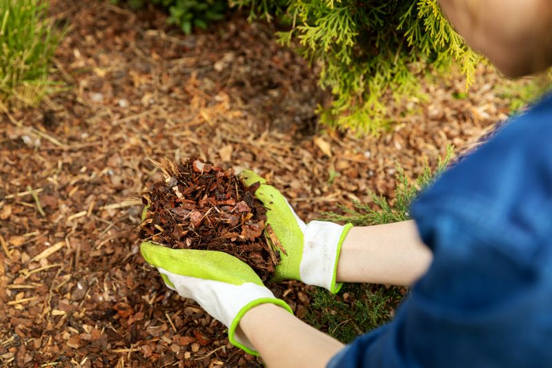 Bark Spreading
