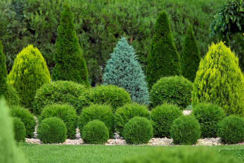 Bush Installation
