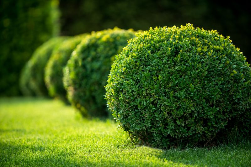 Bush Replacement