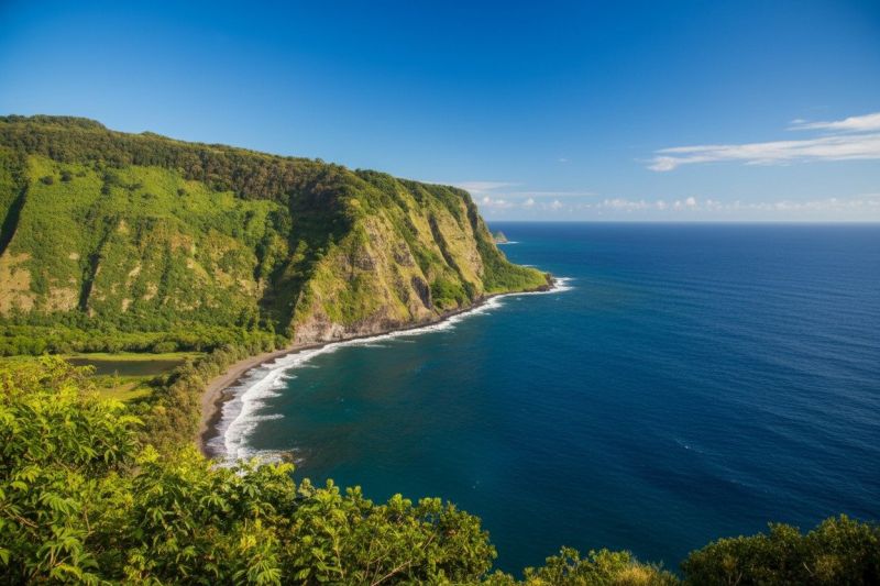 Coastal Landscaping