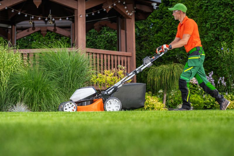 Commercial Lawn Renovation