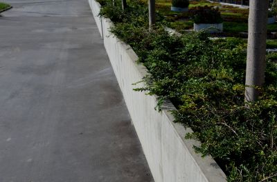 Concrete Curbing Replacement