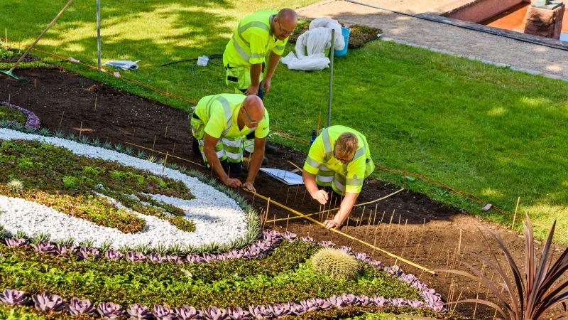 Landscaping
