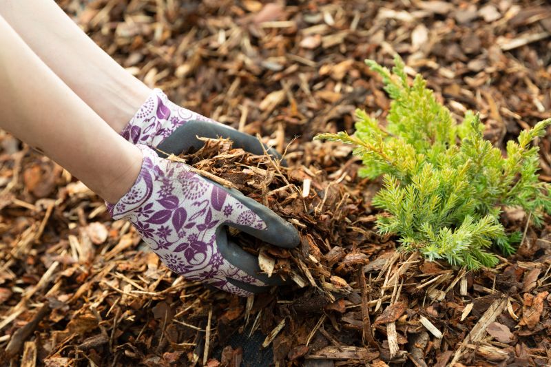 Cypress Mulch Spreading