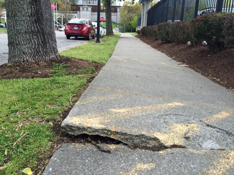 Damaged Yard Repair