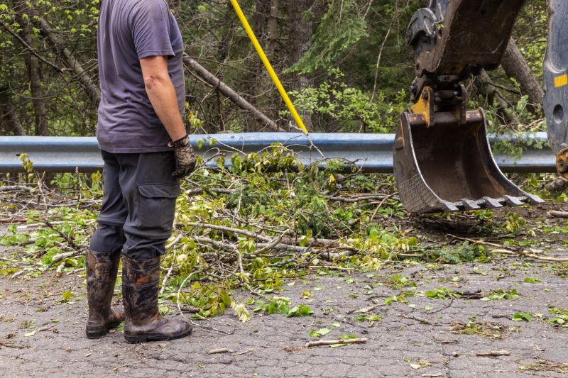 Ditch Clearing
