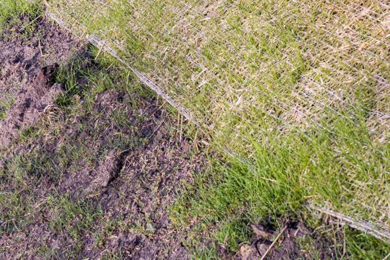 Erosion Control Service