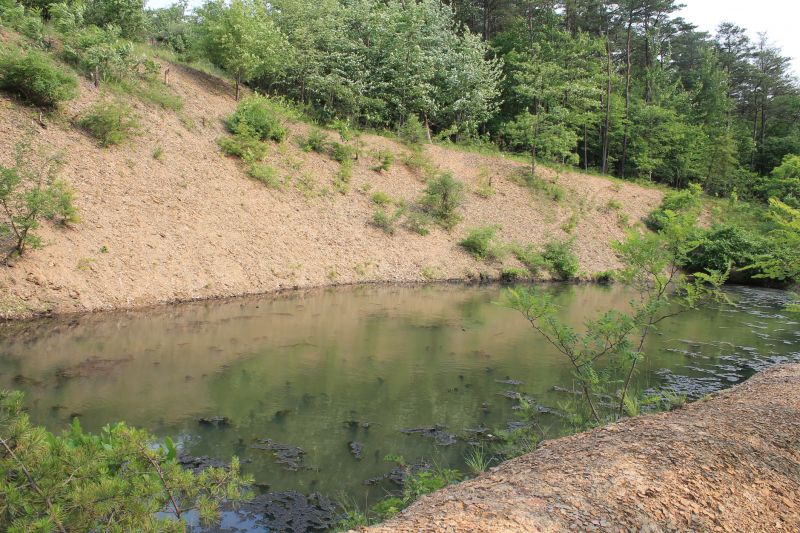 Erosion Control Service