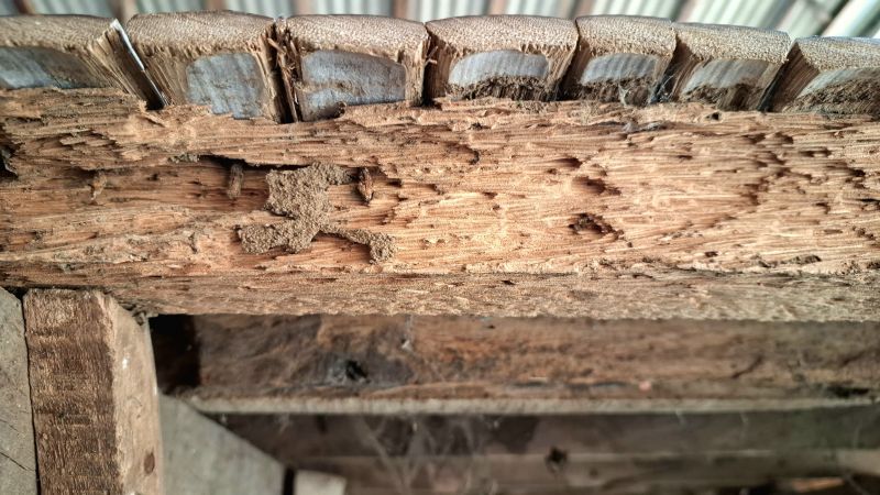 Erosion Damage Repair