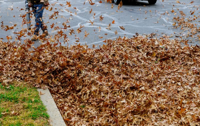 Leaf Removal Service