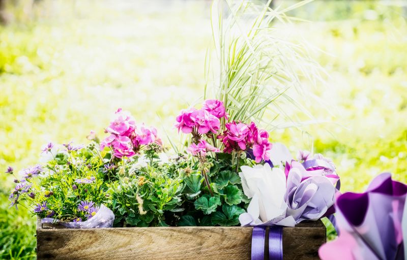Flower Bed Planting