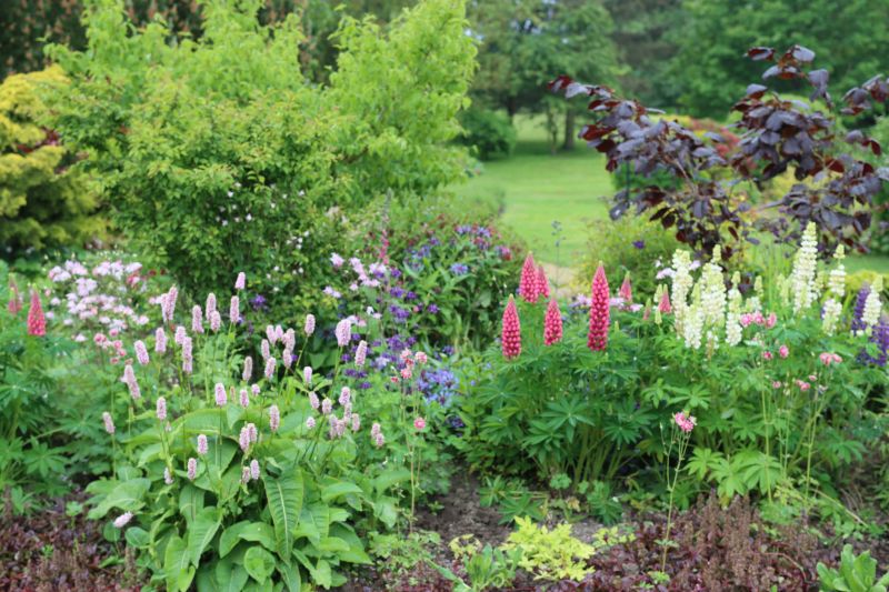 Flower Bed Planting