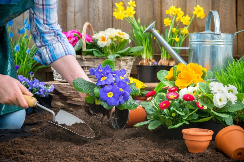 Flower Garden Weeding