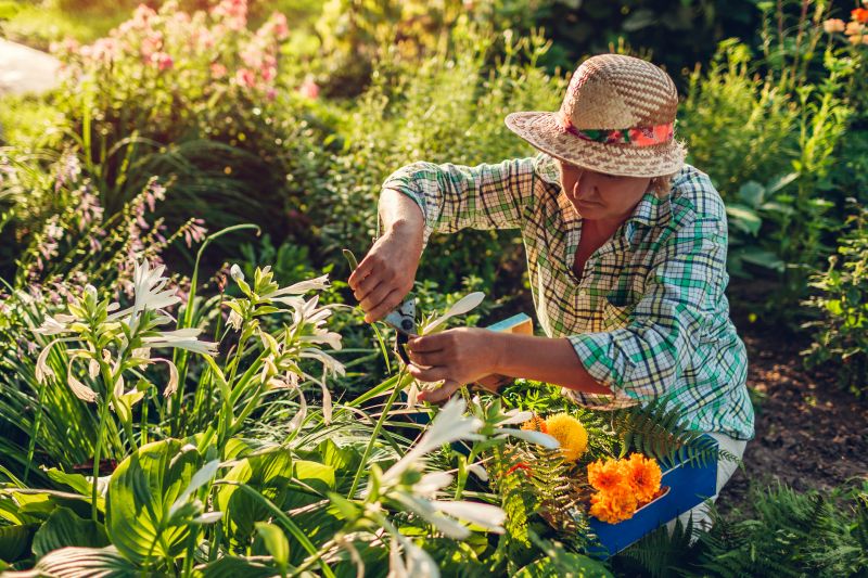 Flower Planting Service