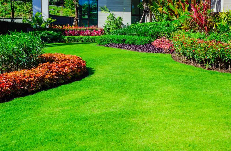 Front Yard Landscaping