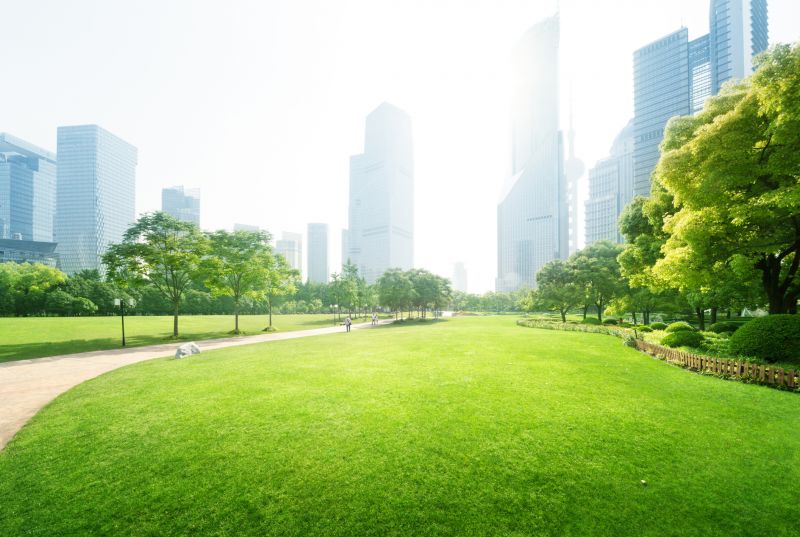 Commercial Garden Maintenance detail