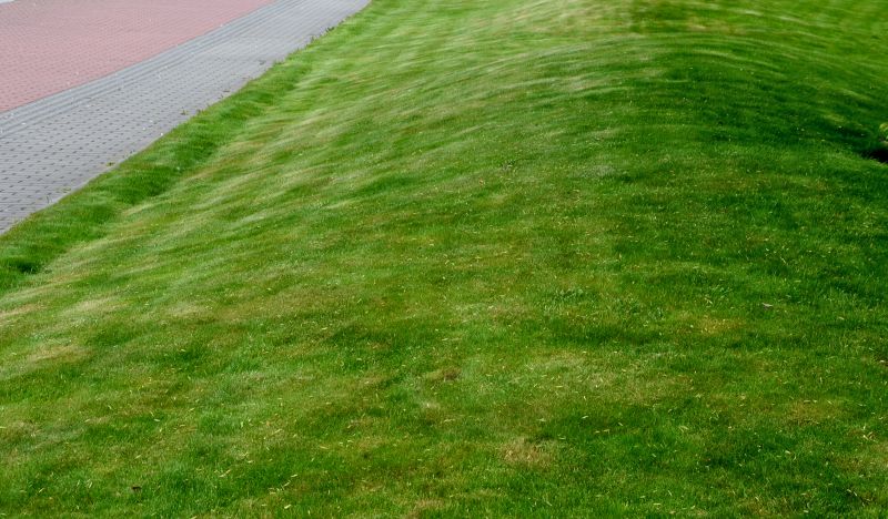 Grass Repair detail