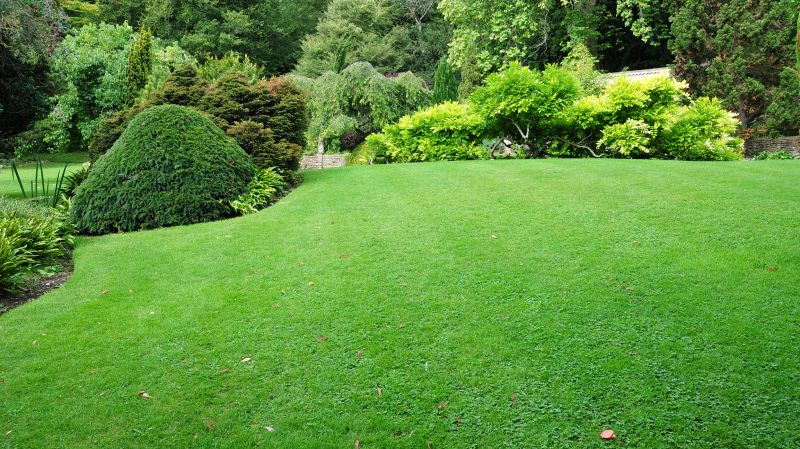Landscaping Maintenance detail