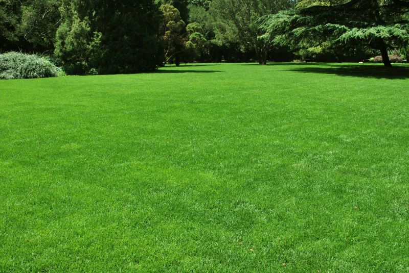 Landscaping Replacement detail