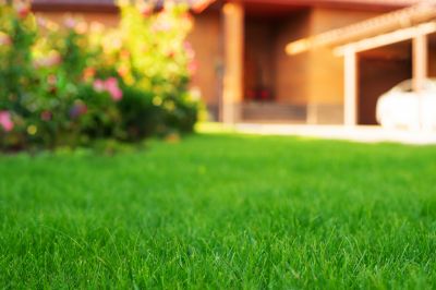 Lawn Erosion Repair detail