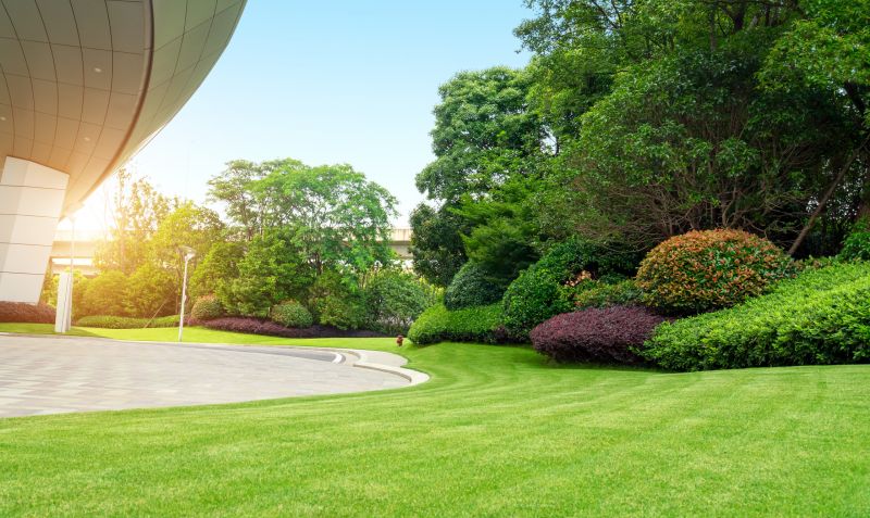 Lawn Landscaping detail