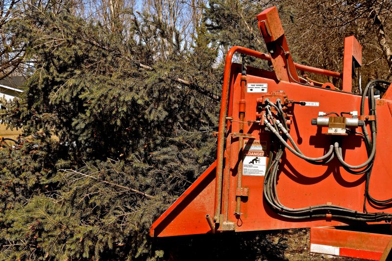 Wood Chips Delivery detail