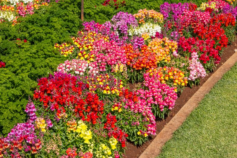 Garden Border Replacement