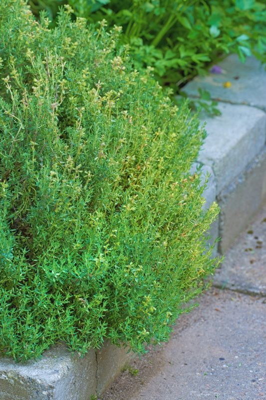 Garden Curbing Service