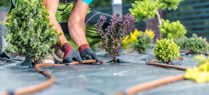 Garden Mulch Installation