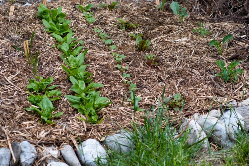 Garden Mulching