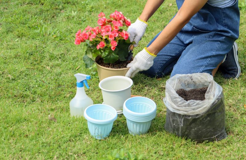 Garden Planting Service