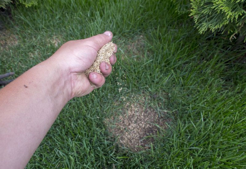 Grass Patching