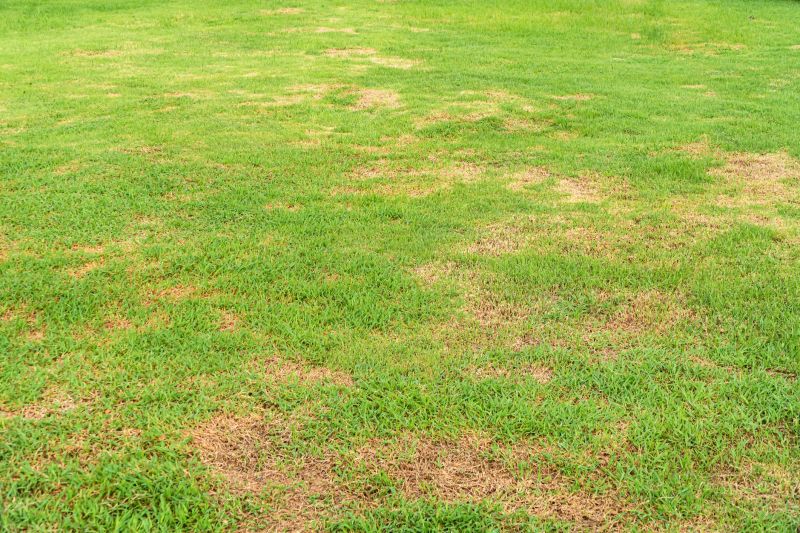 Grass Patching