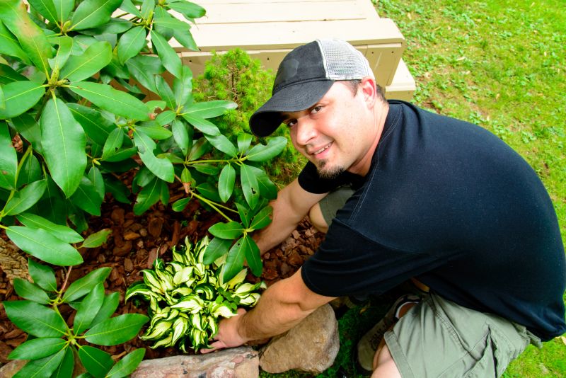 Ground Cover Planting