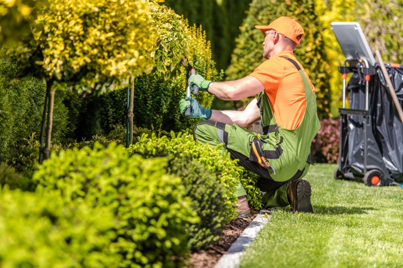 Hedge Landscaping