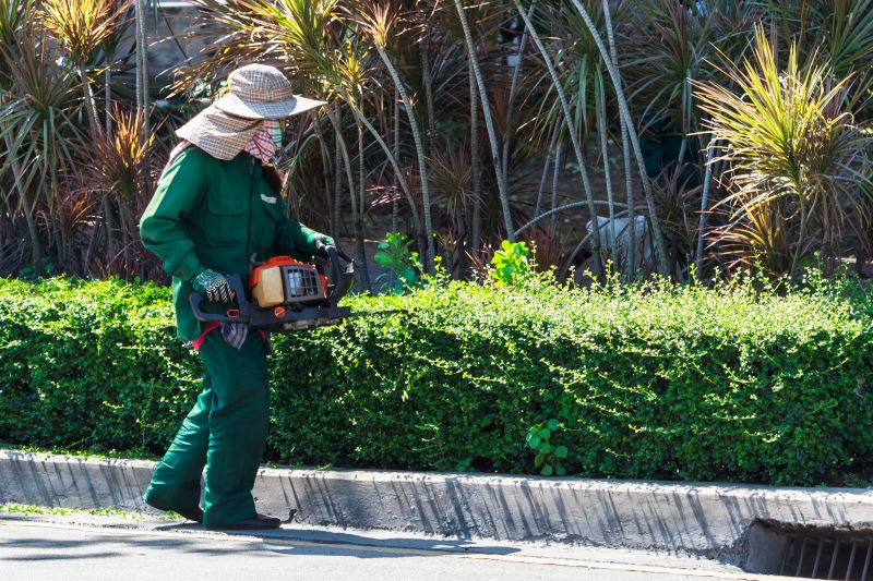 Hedge Planting