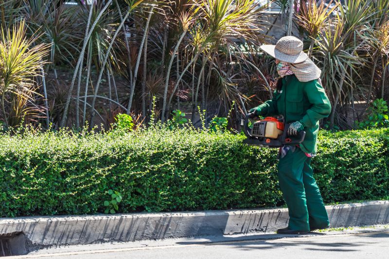 Hedge Replacement