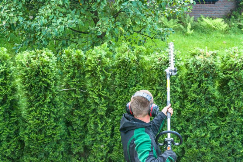 Hedge Replacement