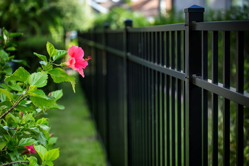 Hibiscus Planting