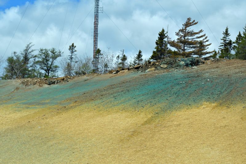 Hill Landscaping