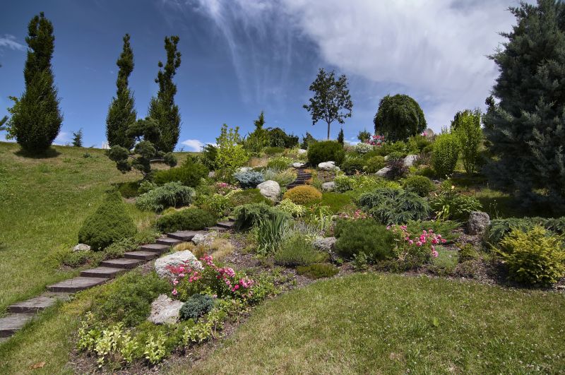 Hill Landscaping