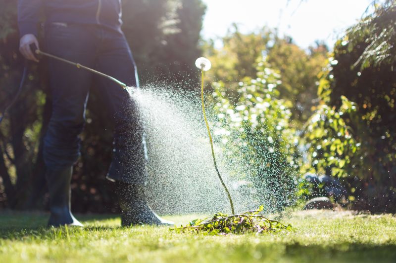 Home Gardening Service