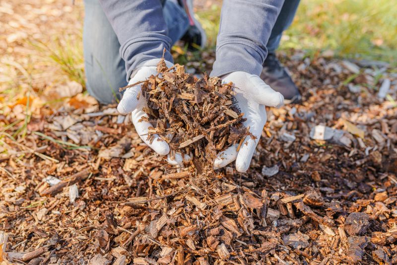 Hotel Mulching