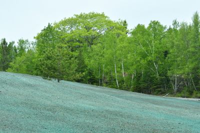 Hotel Mulching