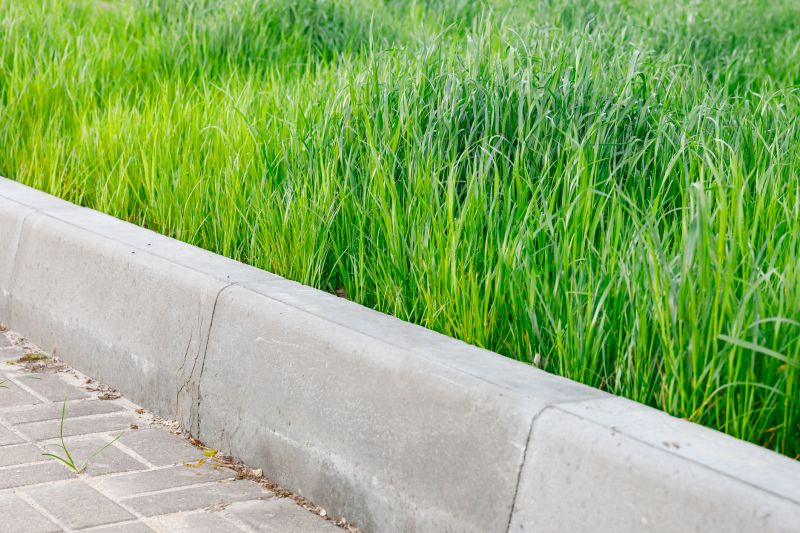 Landscape Curb Repair
